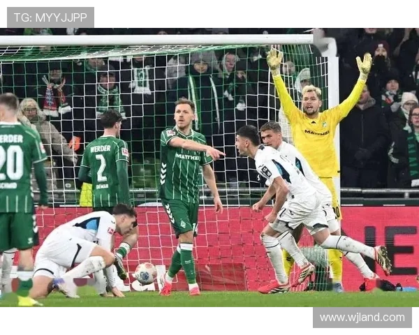 霍芬海姆勇闯欧冠传奇全景之旅